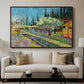 Orchard in Blossom, Bordered by Cypresses, 1888 - Floater Framed Canvas Print