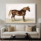 A Cart-Horse - Floater Framed Canvas Print