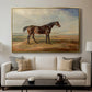 Dr. Syntax, a Bay Racehorse, Standing in a Coastal Landscape, an Estuary Beyond, c. 1820 - Floater Framed Canvas Print