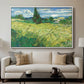 Green Wheat Field with Cypress, 1889 - Floater Framed Canvas Print