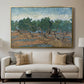 Olive Trees, 1889 - Floater Framed Canvas Print