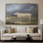A Border Leicester Ewe, c. 1795-1800 - Floater Framed Canvas Print
