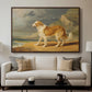 Rough-Coated Collie, 1809 - Floater Framed Canvas Print