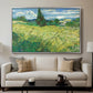 Green Wheat Field with Cypress, 1889 - Floater Framed Canvas Print