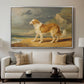 Rough-Coated Collie, 1809 - Floater Framed Canvas Print