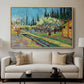 Orchard in Blossom, Bordered by Cypresses, 1888 - Floater Framed Canvas Print