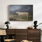A Border Leicester Ewe, c. 1795-1800 - Floater Framed Canvas Print