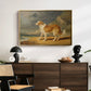 Rough-Coated Collie, 1809 - Floater Framed Canvas Print