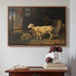 Sheep in a Stable, 1810 - Floater Framed Canvas Print