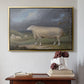 A Border Leicester Ewe, c. 1795-1800 - Floater Framed Canvas Print