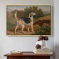 Ravager, One of the Lambton Hounds, 1835 - Floater Framed Canvas Print