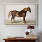 A Cart-Horse - Floater Framed Canvas Print