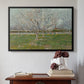Orchard in Blossom (Plum Trees), 1888 - Floater Framed Canvas Print