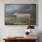 A Border Leicester Ewe, c. 1795-1800 - Floater Framed Canvas Print