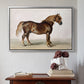 A Cart-Horse - Floater Framed Canvas Print