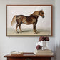 A Cart-Horse - Floater Framed Canvas Print