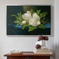 Giant Magnolias on a Blue Velvet Cloth, c. 1890 - Floater Framed Canvas Print