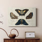 Crackled Butterflies IV - Canvas Art Print