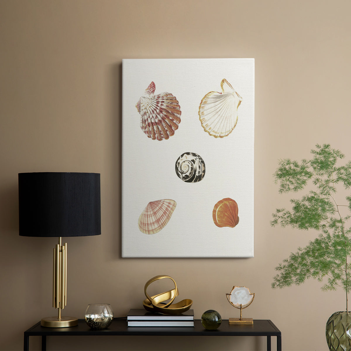 Pastel Knorr Shells VIII - Canvas Art Print