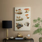 Mushroom Species X - Canvas Art Print