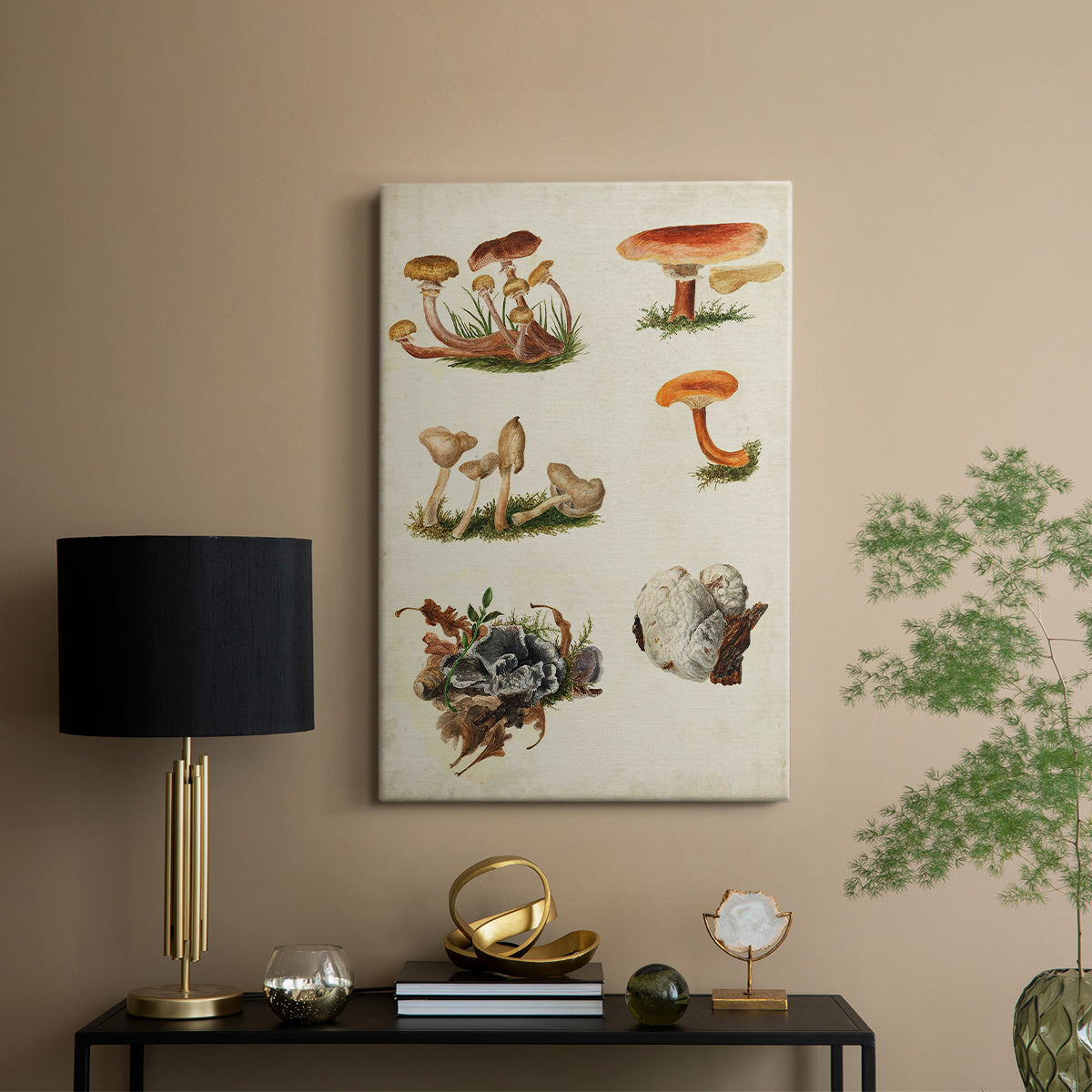Mushroom Species X - Canvas Art Print