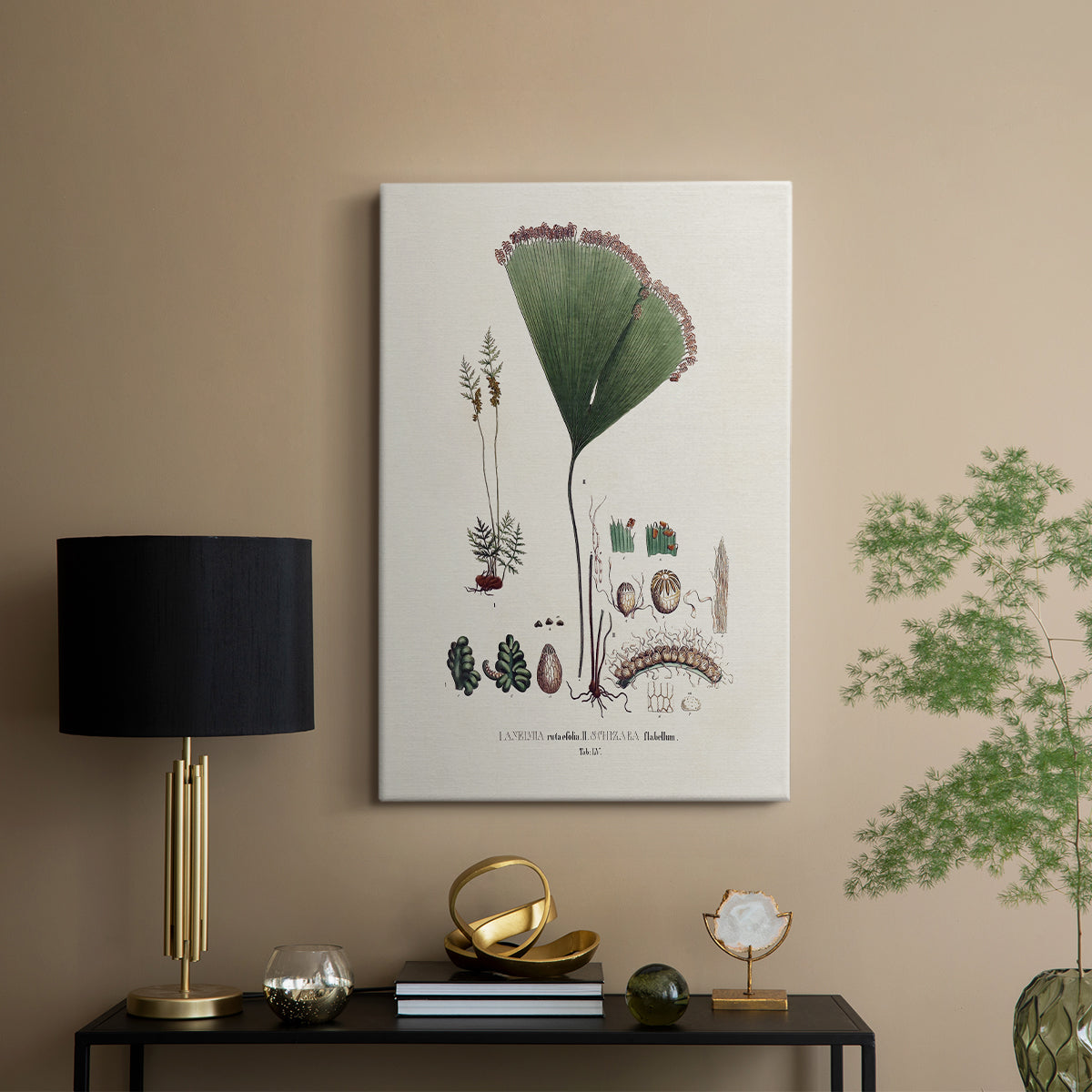 Botanical Society Ferns IX - Canvas Art Print