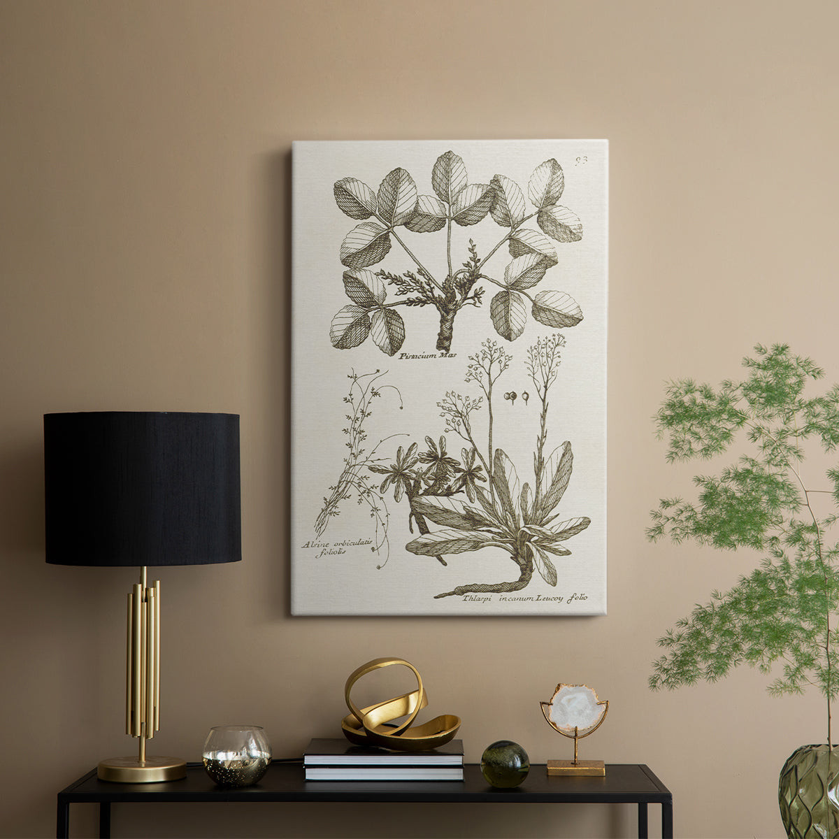 Sepia Botanical Journal VI - Canvas Art Print