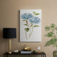 Petite Blue Hydrangea II - Canvas Art Print