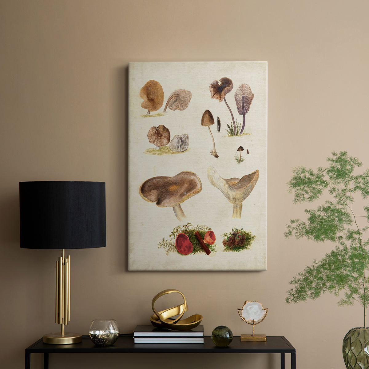 Mushroom Species III - Canvas Art Print