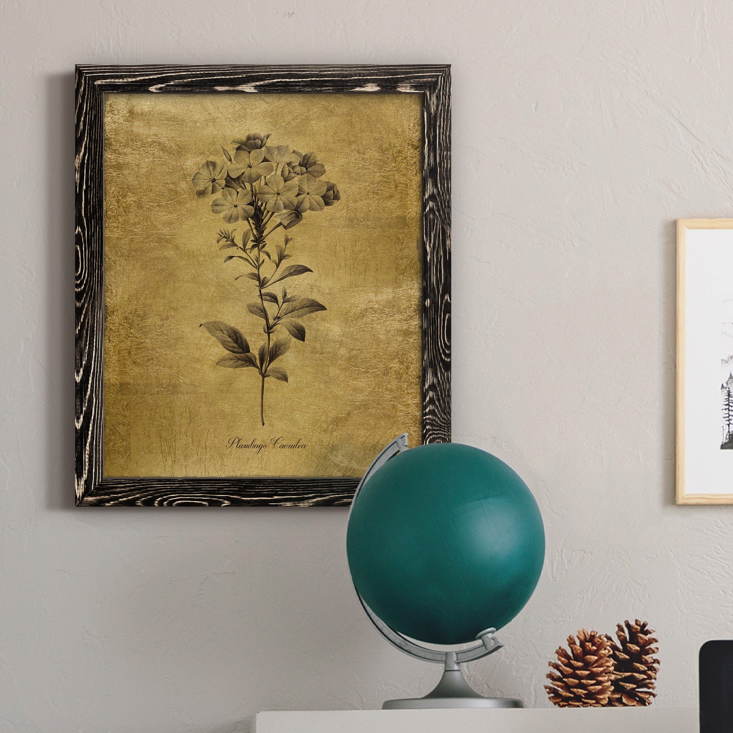 Gold Sketch Botanical II - Barnwood Framed Canvas Print