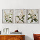 Floral Study Series LXXXVII - Restickable Framed Art Set