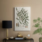 Botanical Society Ferns X - Canvas Art Print