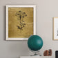 Gold Sketch Botanical II - Barnwood Framed Canvas Print