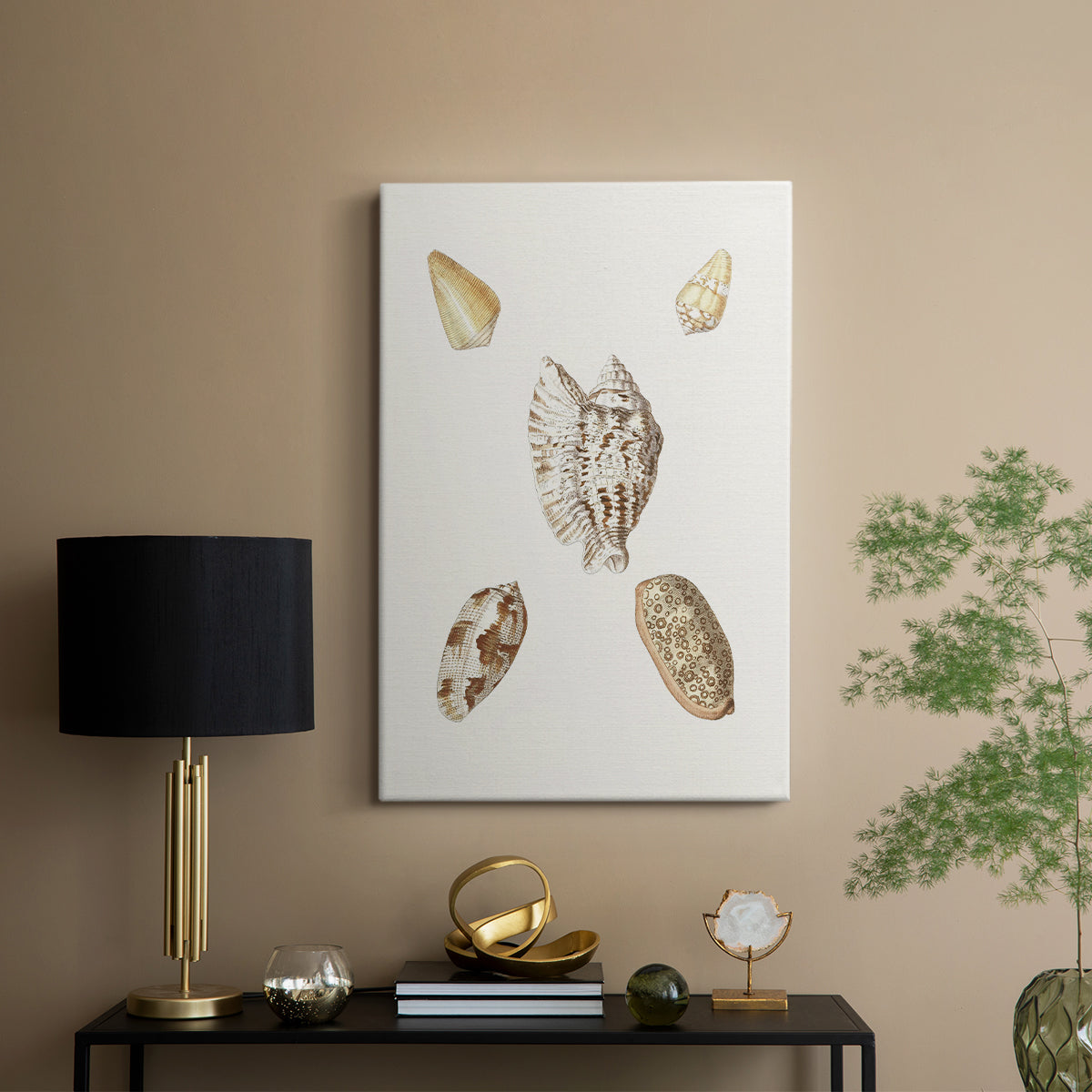 Pastel Knorr Shells VI - Canvas Art Print