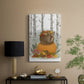 Fox Curled on Pumpkin - Canvas Art Print
