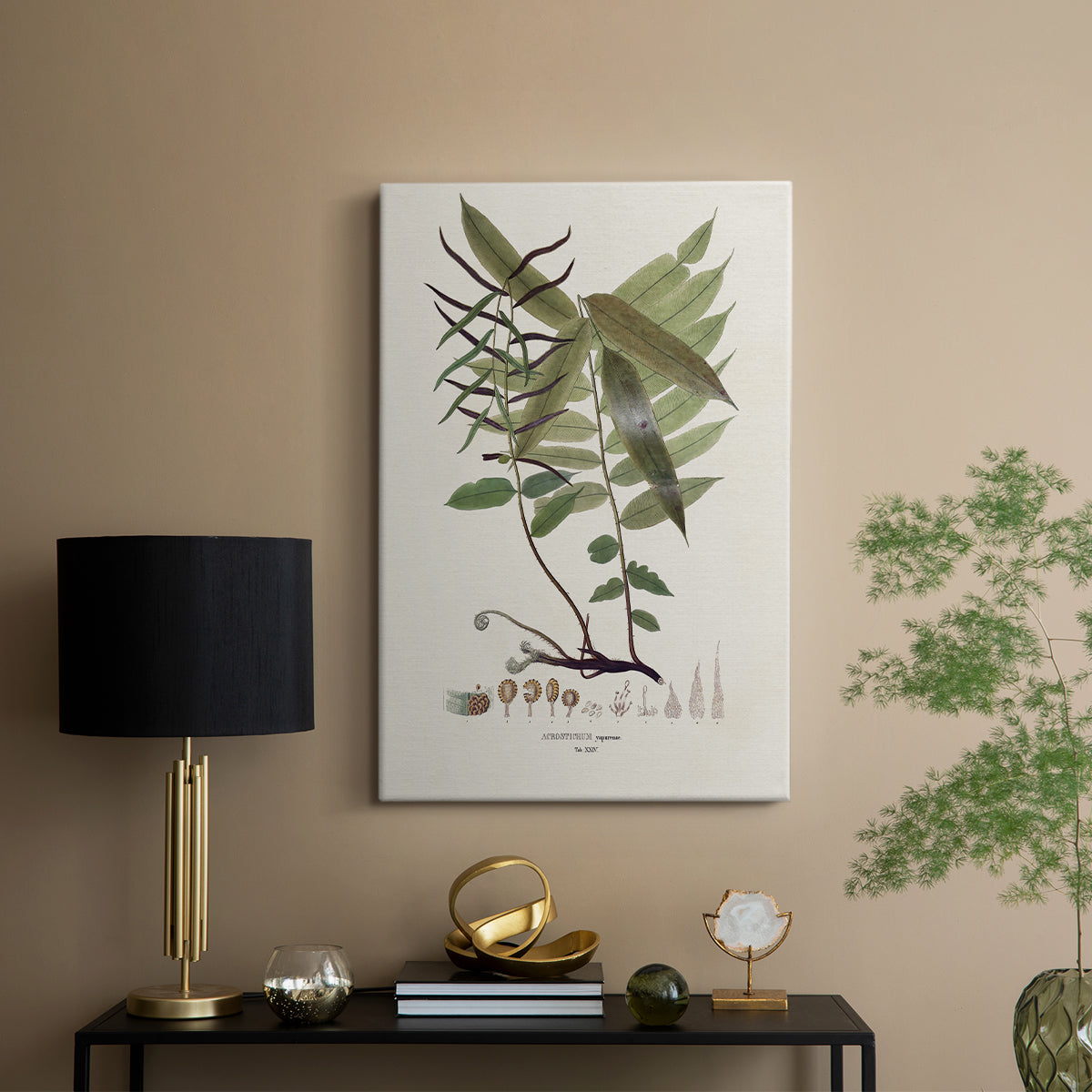 Botanical Society Ferns VI - Canvas Art Print