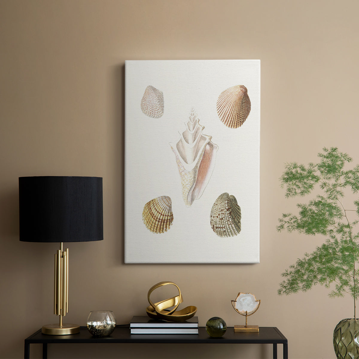 Pastel Knorr Shells IX - Canvas Art Print
