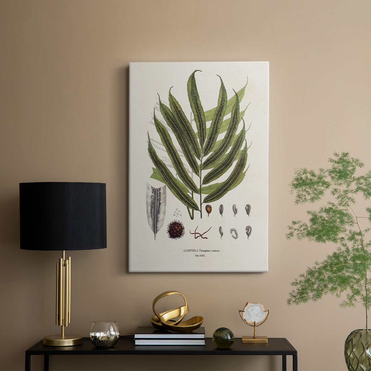 Botanical Society Ferns II - Canvas Art Print