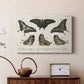 Crackled Butterflies II - Canvas Art Print