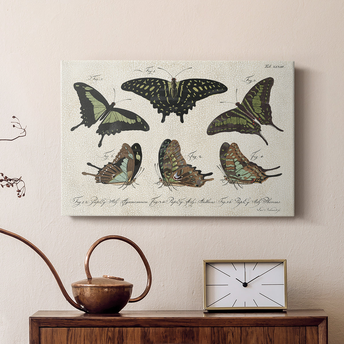 Crackled Butterflies II - Canvas Art Print