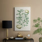 Buchoz Tropicals III - Canvas Art Print