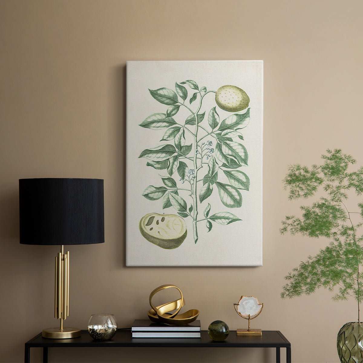 Buchoz Tropicals III - Canvas Art Print