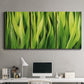 Three-panel canvas wall art featuring close view of tall green grass blades, displayed above a desk in a home office.