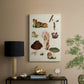 Mushroom Species IX - Canvas Art Print