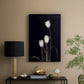Tulip Pose III - Canvas Art Print