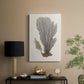 Knorr Shells & Coral III - Canvas Art Print