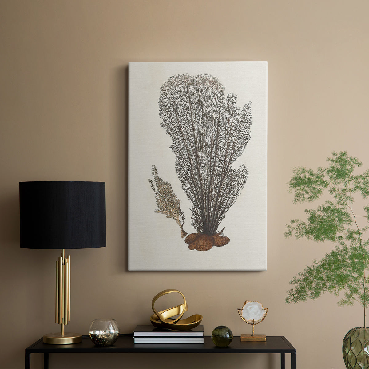 Knorr Shells & Coral III - Canvas Art Print