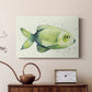 Speckled Freshwater Fish II - Canvas Art Print