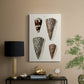 Cone Shell Collection I - Canvas Art Print