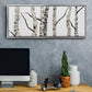 Birch Trees II - Floater Framed Canvas Print